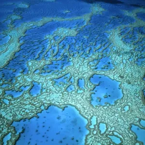 Hardy Reef aerial of coral formations, Great Barrier Reef Marine Park (World Heritage Area), Queensland, Australia JPF34083