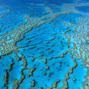 Hardy Reef coral formations, Hardy Reef, Great Barrier Reef Marine Park (World Heritage Area), Queensland, Australia JPF34001 Hardy Reef coral formations, Hardy Reef, Great Barrier Reef Marine Park (World Heritage Area), Queensland, Australia JPF34001