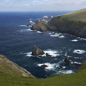 Hermaness Cliffs Unst, Shetland, UK LA003122