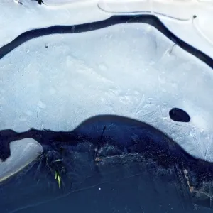Ice Dolphin - A frozen waterlogged field creates images of nature. Oxfordshire, England Ice Dolphin - A frozen waterlogged field creates images of nature. Oxfordshire, England