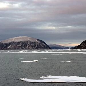 Ice floe North Svalbard, Spitzbergen, Norway