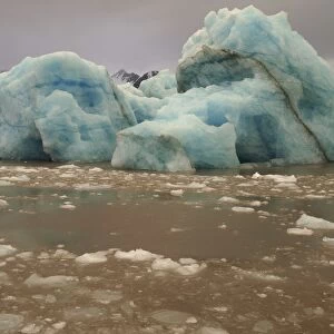 Iceberg - Liefdefjorden - Svalbard - Norway