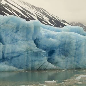 Iceberg - Liefdefjorden - Svalbard - Norway