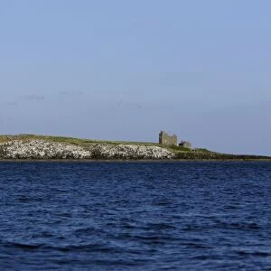 Inner Farne Island-showing lighthouse and church, Farne Islands, Northumberland UK