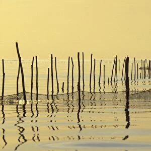 Italy - Venice Lagoon with fishing nets