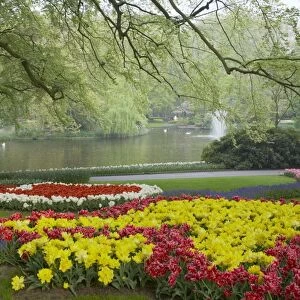 Keukenhof Gardens in Spring Tulip Beds and Other Spring Flowers Netherlands PL001556