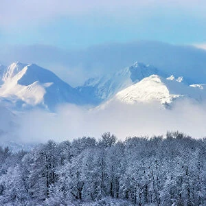 Landscape of forest and snow mountain, Haines, Alaska, USA Date: 14-11-2011