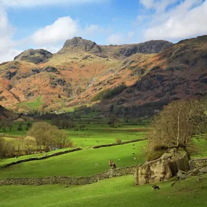 Langdale Pikes in autumn sunshine - Lake District - England