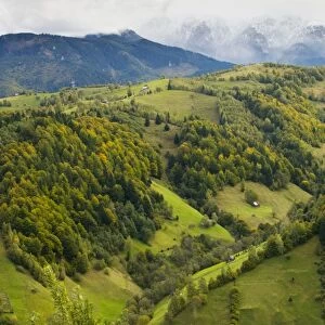 The Leaota Mountains (part of the southern Carpathians) south of Bran with the first snow of autumn. Romania
