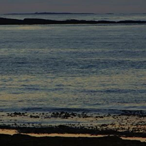 Lighthouse on the Farnes-twilight over the North Sea, from beach at Dunstan Steads, looking towards Farne Isles, Northumberland Uk