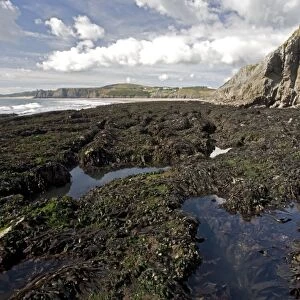 Very low tide at Three Crowns Bay, Gower peninsula. Mussel beds etc. exposed