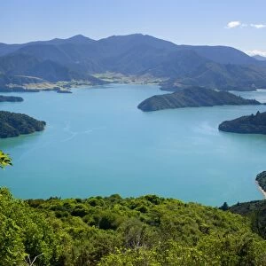 Marlborough Sounds view from Lookout Hill over Kenepuru Sound with its bays and islands Marlborough Sounds, South Island, New Zealand