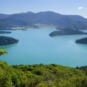 Marlborough Sounds view from Lookout Hill over Kenepuru Sound with its bays and islands Marlborough Sounds, South Island, New Zealand Marlborough Sounds view from Lookout Hill over Kenepuru Sound with its bays and islands Marlborough Sounds, South Island, New Zealand