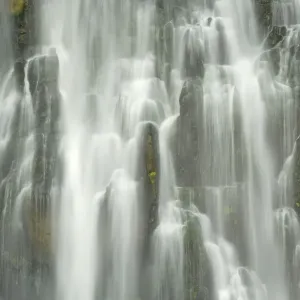 Marokopa Falls waters of Marokopa river plunging down into a wide gorge Waitomo, King Country, North Island, New Zealand Marokopa Falls waters of Marokopa river plunging down into a wide gorge Waitomo, King Country, North Island, New Zealand