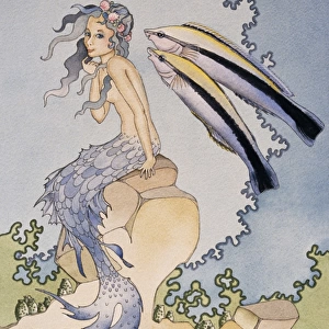 Mermaid - illustration "suprise"