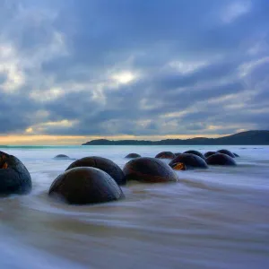 Moeraki Boulders - massive spherical rocks at dawn surrounded by water of incoming tide Coastal Otago, South Island, New Zealand