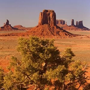 Monument Valley - from Artist Point - with Juniper in the foreground - Monument Valley Tribal Park, Navajo Reservation, Arizona, USA