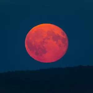 Full Moon - rising above horizon, coloured orange and red, Lower Saxony, Germany