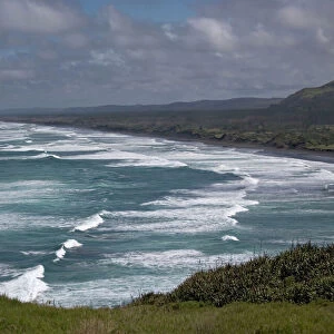 Muriwai beach, North Island, New Zealand. Wild area; good surfing beach