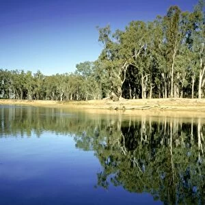 Murray River - near Barmah, Victoria, Australia JLR07720