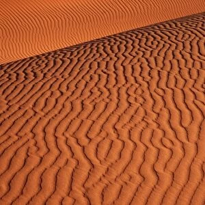 Namib - Naukluft Park; structural forms in the sand of the deser