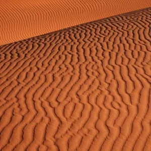 Namib - Naukluft Park; structural forms in the sand of the deser Namib - Naukluft Park; structural forms in the sand of the deser