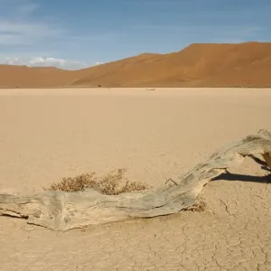 Namibia - Dry pan and sand dunes in the centre of the Namib Desert in the Sossusvlei area. Namib-Naukluft Park, Namibia