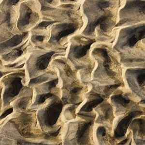 Namibia - Structural forms in the sand of a dry riverbed. Namib Desert, Skeleton Coast Park, Namibia