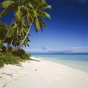 Ovalau Island tropical beach scene with palm trees - Vava'u Group - Tonga JLR06089