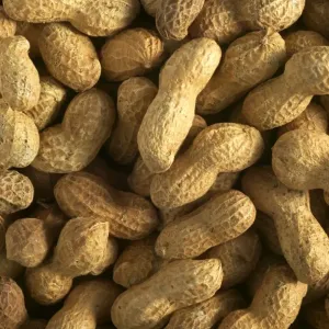 Peanuts Peanuts