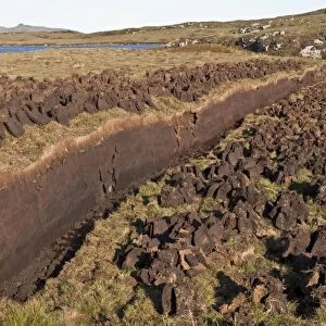 Peat cutting - peat used for domestic fires - North Uist - Outer Hebrides - Scotland