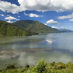 Pelorus Sound view into Pelorus Sound with its many bays and forest-clad hills Marlborough Sounds, South Island, New Zealand Pelorus Sound view into Pelorus Sound with its many bays and forest-clad hills Marlborough Sounds, South Island, New Zealand