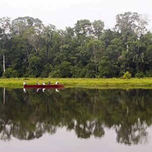 Peru Manu Wildlife Reserve