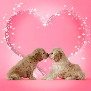 Picture No. 10901725 Picture No. 10901725