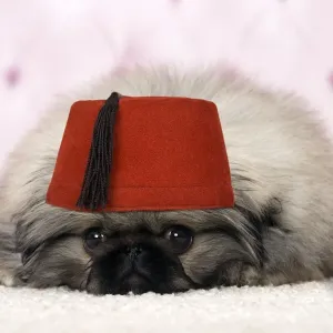 Picture No. 11769027 Picture No. 11769027