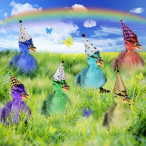 Picture No. 11769041 Picture No. 11769041