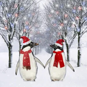 Emperor Penguin Chick Print - Christmas Outfit. Art Prints, Posters &  Puzzles from Ardea