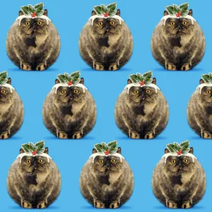 Picture No. 12479991 Picture No. 12479991