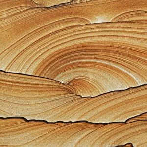 Picture Sandstone Detail - Northern Arizona / Utah - Natural sandstone formed 180 years to 220 million years ago by wind and water as part of the geological formation "Shinarump" - Colors