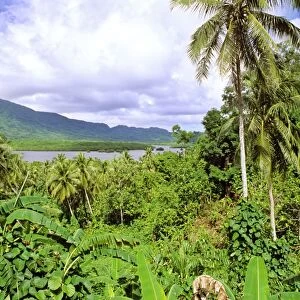 Pohnpei Island view through dense vegetation to a bay Micronesia JLR04158