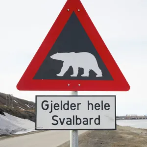 Polar Bear Road Sign - Longyearbyen, Svalbard (Spitsbergen) LA003889