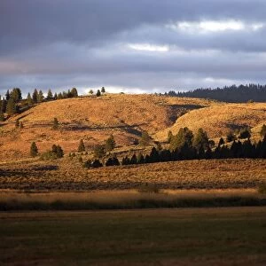 Ponderosa Ranch - Seneca - Oregon - USA