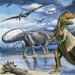 Prehistoric - Tyrannosaurus in foreground with Brontosaurus / Patosaurus behind and Pteranodon. Tyrannosaurus was the most terrifing engine of destruction of the earth and lived during the late Cretaceous (114 millions years ago)
