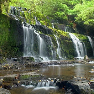 Purakaunui Falls beautiful waterfall within dense temperate rainforest Catlins, Southland, South Island, New Zealand