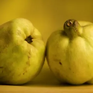 Quince - two Quince - two