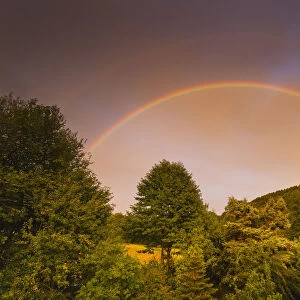 Rainbow, appearing in double form over woodland, , Lower Saxony, Germany