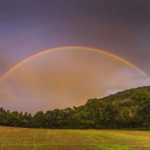 Rainbow, appearing in double form over woodland, Lower Saxony, Germany