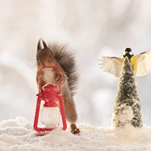 Red squirrel holding a lantern with bird in flied
