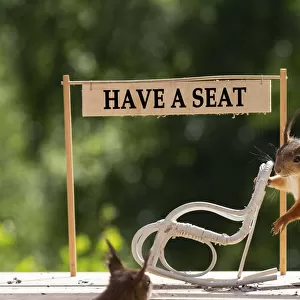 red squirrel holding an rocking chair with have a seat sign