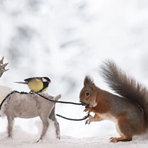 Red squirrel holding with a rope a reindeer with titmouse